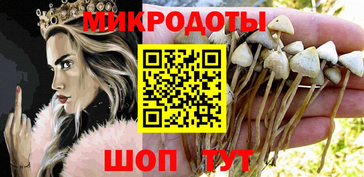 Ковров  Псилоцибиновые грибы Psilocybine cubensis  Вход с VPN 